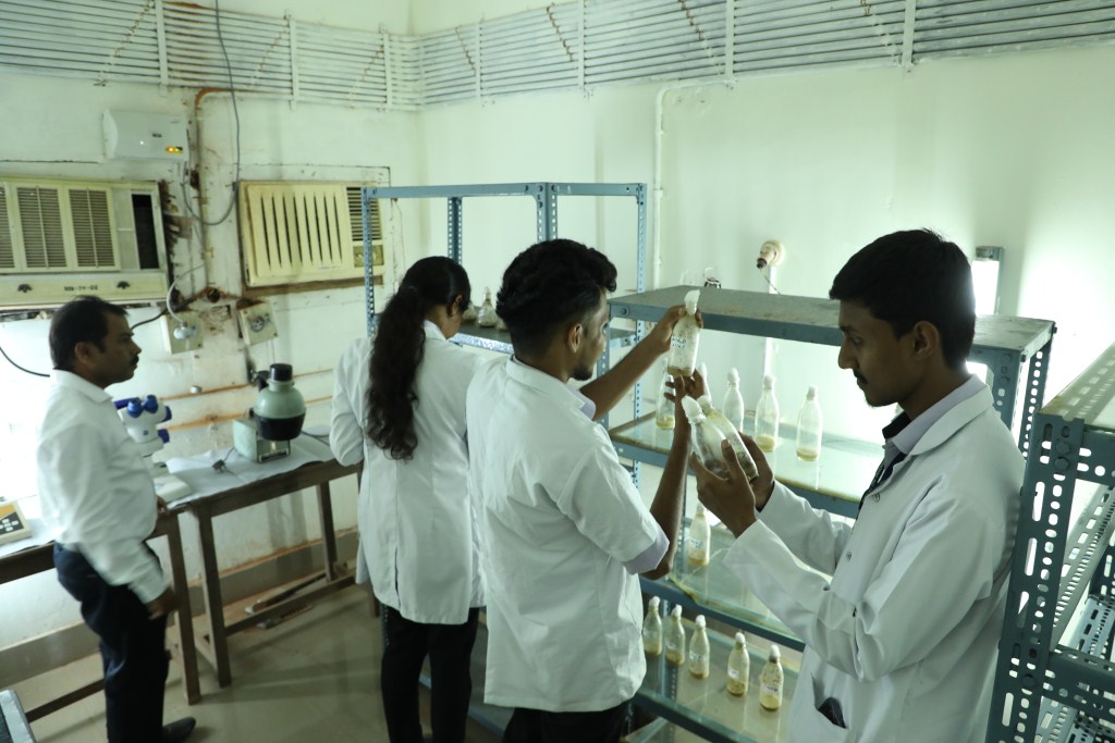 15.Biosciences_Drosophila_Culture_Lab_1_